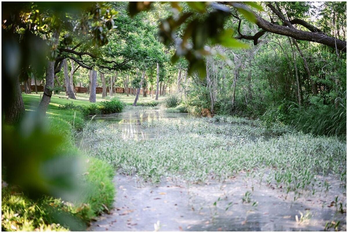 Messina Inn Wimberley Δωμάτιο φωτογραφία