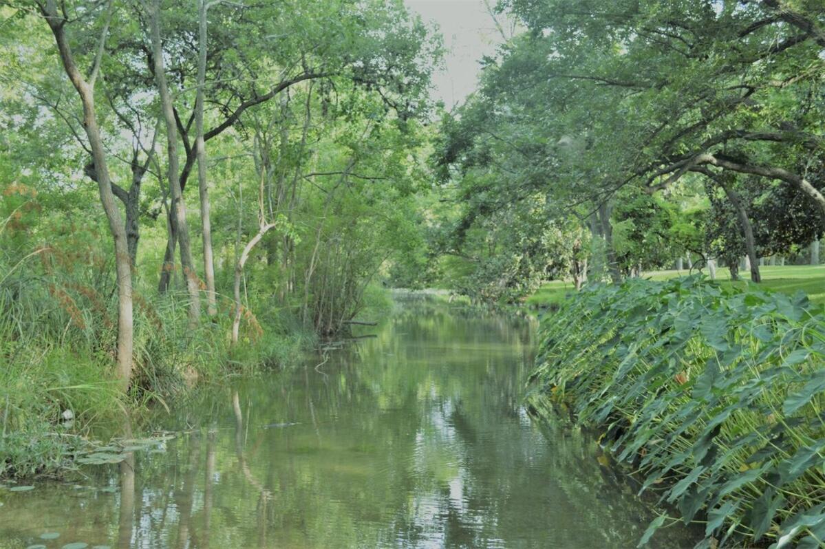 Messina Inn Wimberley Δωμάτιο φωτογραφία